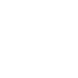 Espionage campaigns icon